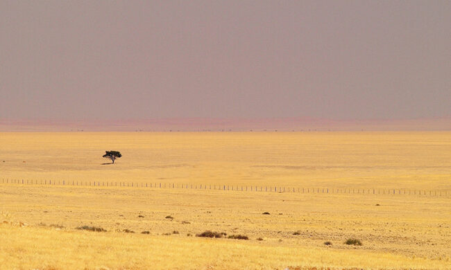 01-Mario-Marcolina-Yellow