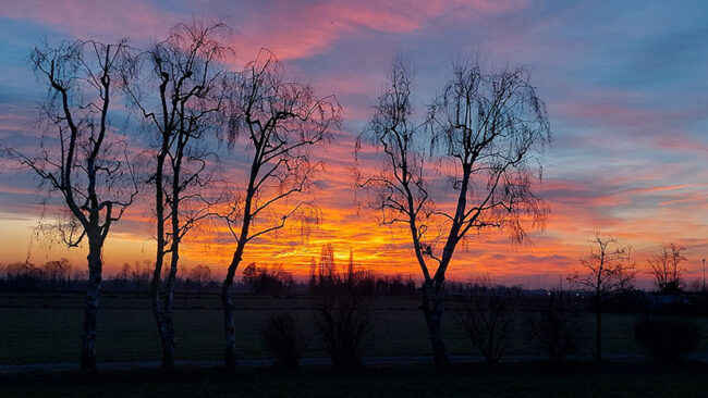 1.-GIULIA-BOSCHI-Alba-febbraio
