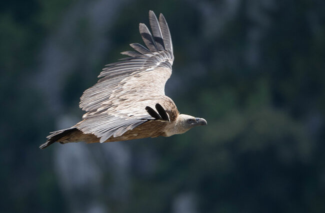 52767989435_79a3e873f3_k