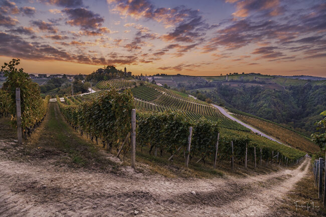 All-roads-lead-to-Treiso-830