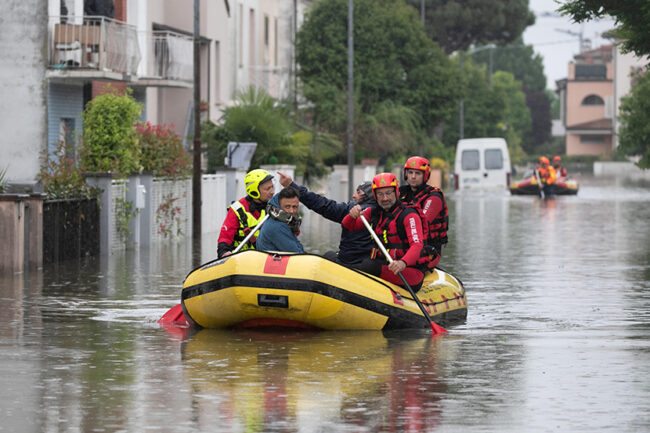 Nel Ravennate scarseggiano cibo e acqua