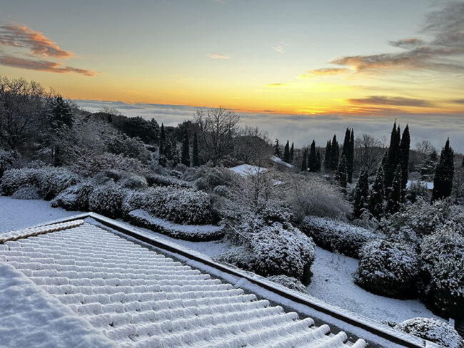 Dott.ssa-Kim-Mua-Chen-830