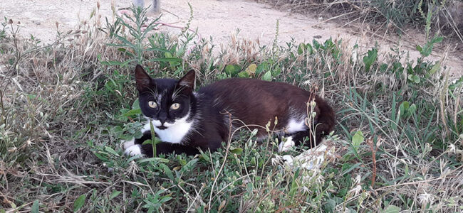 WhatsApp-Image-2023-06-23-at-19.13.27